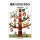 樹木ハカセになろう(岩波ジュニア新書) [新書]