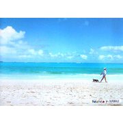 ハワイのおさんぽ オアフ島編 [単行本]