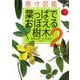 原寸図鑑 葉っぱでおぼえる樹木〈2〉 [図鑑]