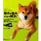 柴犬の悩みずばり解決!－「困った」が根本から治る! いいコに育てるための疑問にお答え!問題、疑問、不安が [全集叢書]