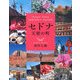 セドナ 天使の町―Angel Town SEDONA GUIDE [単行本]