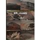 世界の火山地形 [単行本]