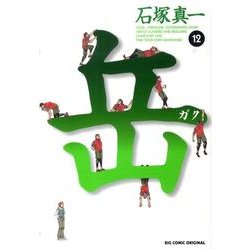 岳<１２>(ビッグ コミックス) [コミック]