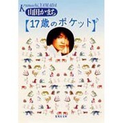 17歳のポケット(集英社文庫) [文庫]