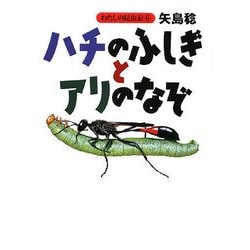 ハチのふしぎとアリのなぞ(わたしの昆虫記〈6〉) [全集叢書]