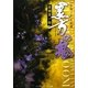 黒方の鬼―陰陽ノ京 月風譚(メディアワークス文庫) [文庫]