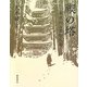 禊の塔―羽黒山五重塔仄聞 [単行本]