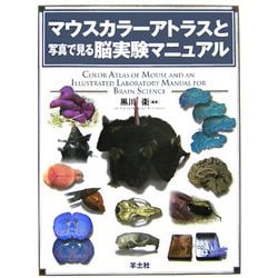 ●裁断済みです● マウスカラーアトラスと写真で見る脳実験マニュアル ○裁断済みです○ マウスカラーアトラスと写真で見る脳実験