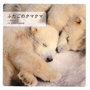 ふたごのクマクマ [絵本]