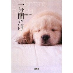 一分間だけ(宝島社文庫) [文庫]