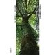 よい教育とは何か―構造構成主義研究〈5〉 [単行本]