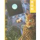 黄金豹 文庫版 (少年探偵〈第13巻〉) [単行本]
