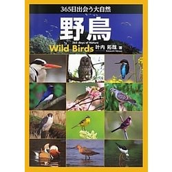 365日出会う大自然 野鳥 [単行本]
