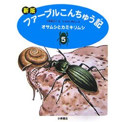 新版 ファーブルこんちゅう記〈5〉オサムシとカミキリムシ [全集叢書]