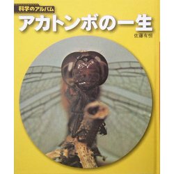 アカトンボの一生 新装版 (科学のアルバム) [全集叢書]