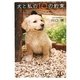 犬と私の10の約束(文春文庫) [文庫]