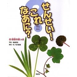 せんせい!これなあに?〈4〉野原の葉っぱ(なまえしらべずかん) [図鑑]