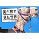 僕が旅で見た世界 [単行本]