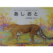 あしおと 復刊 (絵本アフリカのどうぶつたち第1集・ライオンのかぞく) [絵本]