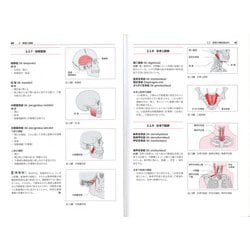 ヨドバシ.com - からだの構造と機能Ⅰ－理学療法のための詳しい機能 