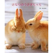 となりのうさぎちゃん [単行本]