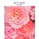 恋する花詩 [単行本]