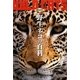 野生ネコの百科 第4版 (動物百科) [全集叢書]