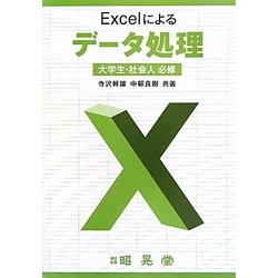 Excelによるデータ処理 [単行本]