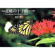 写真集 花蝶の十字路 北アメリカ篇―Looking for Butterflies [単行本]
