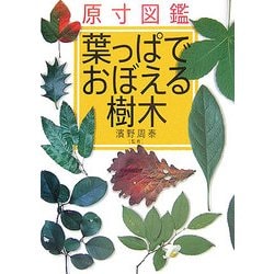 原寸図鑑 葉っぱでおぼえる樹木 [図鑑]
