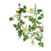 きつねの花の首飾り [単行本]