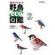 基本がわかる野鳥eco図鑑―野鳥がわかると命のつながりが見える [単行本]