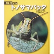 トノサマバッタ 新装版 (科学のアルバム) [全集叢書]