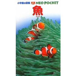 魚(小学館の図鑑NEO POCKET〈3〉) [図鑑]