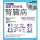 図解でわかる腎臓病―腎臓を守る2週間メソッドつき(徹底対策シリーズ) [単行本]