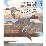 琵琶湖の水鳥 [図鑑]