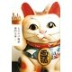 もののけ物語(幽BOOKS) [単行本]