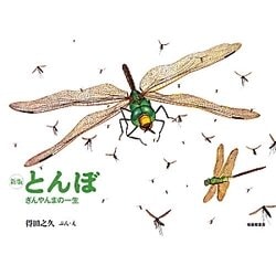 とんぼ―ぎんやんまの一生 新版 (こんちゅうの一生シリーズ) [絵本]
