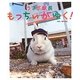 うさぎ駅長もっちぃがゆく! [単行本]