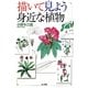 描いて見よう身近な植物 [単行本]