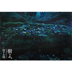 樹よ。―屋久島の豊かないのち [単行本]