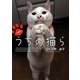 文庫版 うちの猫ら [文庫]