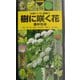 樹に咲く花―離弁花〈1〉 改訂第3版 (山渓ハンディ図鑑〈3〉) [図鑑]
