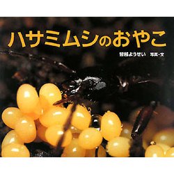 ハサミムシのおやこ(ふしぎいっぱい写真絵本〈11〉) [絵本]