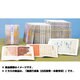 藤原行成集(日本名筆選〈40〉) [全集叢書]