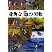 身近な鳥の図鑑 [図鑑]