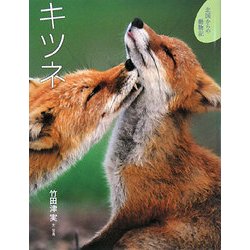 ヨドバシ Com キツネ 北国からの動物記 2 絵本 通販 全品無料配達