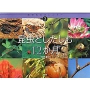 昆虫としたしむ12か月(生きものカレンダー〈2〉) [絵本]
