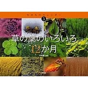 草の葉のいろいろ12か月(生きものカレンダー〈5〉) [絵本]