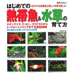 はじめての熱帯魚&水草の育て方 [単行本]